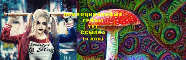 ГАЛЛЮЦИНОГЕННЫЕ ГРИБЫ Вуктыл